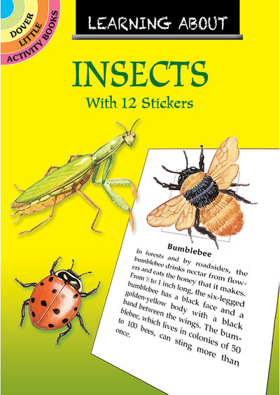 Learning About Insects